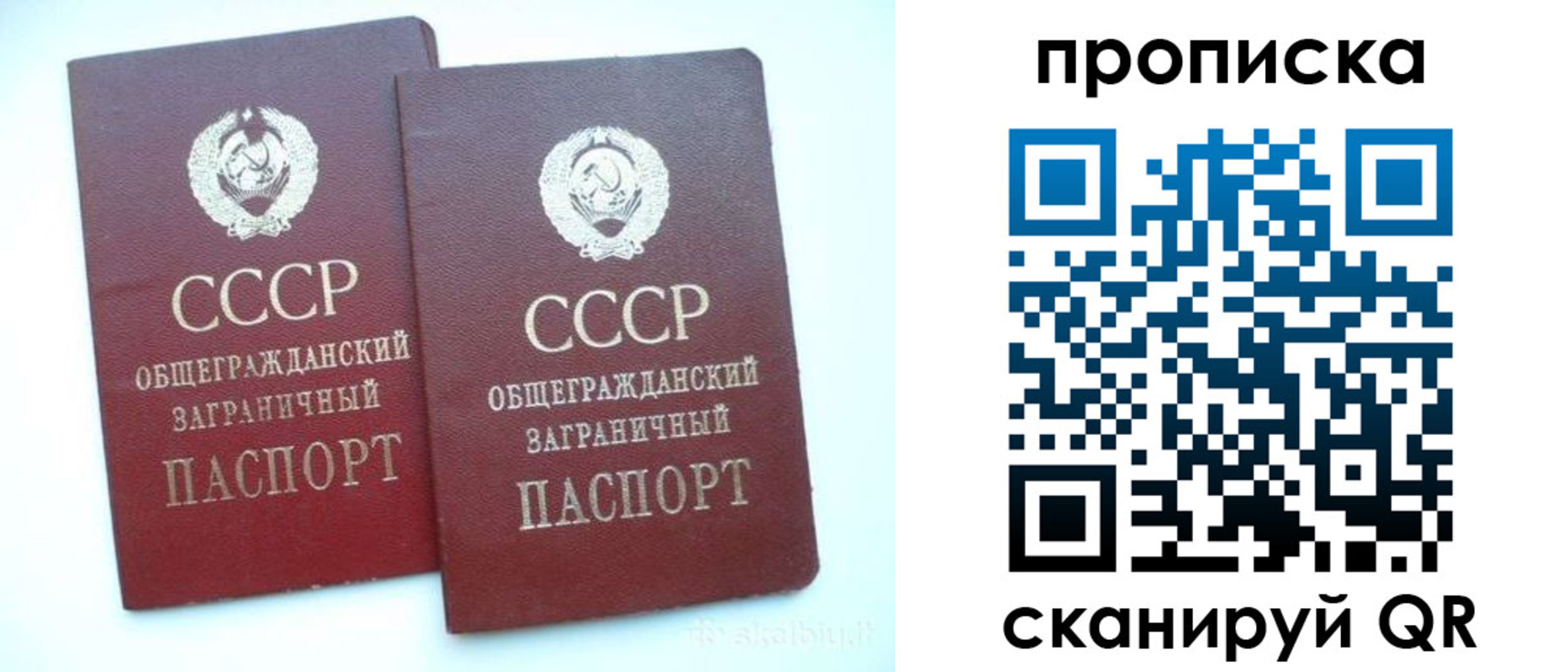 временная регистрация в Всеволожске